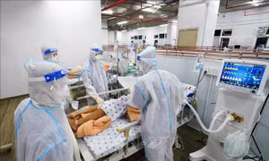 Truy tặng Bằng khen của Thủ tướng cho 21 cá nhân có thành tích xuất sắc trong phòng, chống dịch