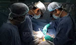 Phẫu thuật thành công khối u cơ tim hiếm gặp cho bệnh nhi 4 tháng tuổi