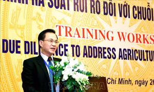 Rà soát rủi ro với chuỗi cung ứng nông sản