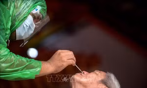 Indonesia, Phillipines và Thái Lan tiếp tục ghi nhận nhiều ca mắc COVID-19