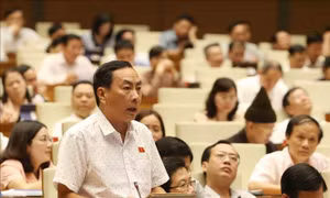 Còn quan điểm trái chiều về hình thức kỷ luật giáng chức với cán bộ, công chức