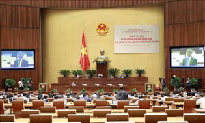 Bảo đảm tính công khai, minh bạch trong quản lý Quỹ bình ổn xăng dầu