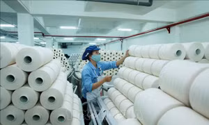 Sản phẩm vải Việt Nam nhập khẩu vào Indonesia được miễn áp dụng thuế mới 