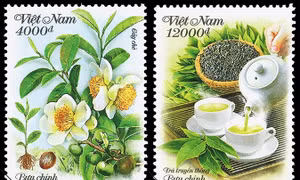 Giới thiệu cây chè và văn hóa trà của người Việt Nam trên tem bưu chính