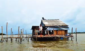 Cà Mau: Tiếp tục xin lùi thời hạn giải tỏa các chòi, quán ra khỏi đầm Thị Tường