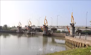Phòng chống hạn mặn: Hiệu quả từ các công trình thủy lợi