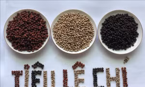 Chương trình Mỗi xã một sản phẩm gắn với phát triển hợp tác xã nông nghiệp