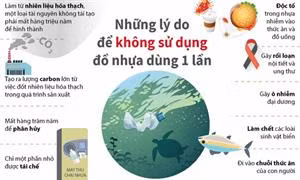 Những lý do để không sử dụng đồ nhựa dùng một lần