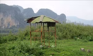 Thanh Hóa: Chủ trương dừng dự án nhà máy xi măng hơn 1.400 tỷ đồng chậm tiến độ