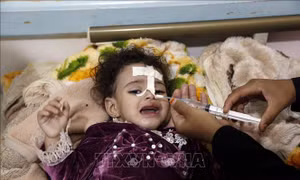 Việt Nam và HĐBA: HĐBA lên án bạo lực nhằm vào người di cư, phụ nữ và trẻ em Yemen
