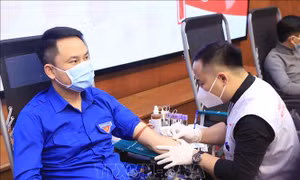 Vĩnh Phúc: Tiếp nhận gần 500 đơn vị máu an toàn trong Ngày Chủ nhật đỏ 