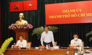 Đồng chí Phan Đình Trạc làm việc với Thường trực Thành ủy Thành phố Hồ Chí Minh