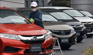 Xe nhập khẩu ồ ạt đổ về khi sức cầu trong nước sụt giảm mạnh