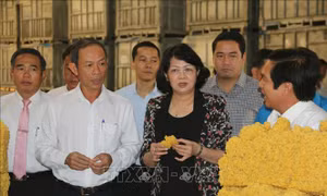 Phó Chủ tịch nước Đặng Thị Ngọc Thịnh làm việc tại Tổng Công ty Cao su Đồng Nai