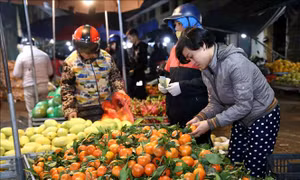 Mồng 5 Tết, nhộn nhịp chợ đầu mối Nam Hà Nội