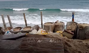 Bờ biển Hội An tiếp tục bị sạt lở nặng
