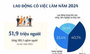Năm 2024, số lao động có việc làm là 51,9 triệu người
