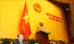 Sửa đổi Luật Điện ảnh - Bài cuối: Nhiều câu hỏi cần tìm lời giải