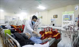 Bảo đảm an toàn và hiệu quả điều trị cho người mắc bệnh thận mạn trong dịch COVID-19