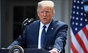 Tổng thống Trump hoãn cuộc vận động tranh cử tại New Hampshire