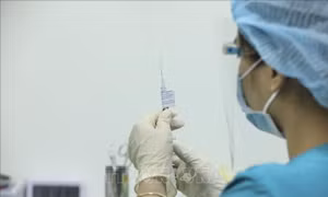 Bộ Y tế hướng dẫn đăng ký lưu hành vaccine COVID-19 trong trường hợp cấp bách