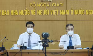 Tọa đàm trực tuyến 'Chuyên gia kiều bào chung tay vượt đại dịch - Vaccine made in Vietnam'