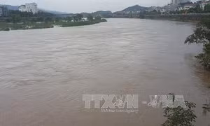 Sông Hồng và sông Chảy ở Lào Cai xuất hiện lũ lớn