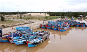 Quảng Bình quyết liệt chống khai thác thủy sản trái phép