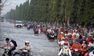 Cần Thơ: Ngày thứ tư liên tiếp triều cường dâng cao kỷ lục, nguy cơ vỡ đê