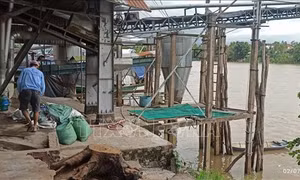 An Giang: Nguy cơ sạt lở bờ sông Kênh Xáng
