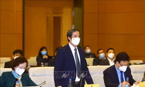 Khẩn trương tháo gỡ tình trạng 'vừa thừa, vừa thiếu' giáo viên mầm non, phổ thông