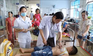Khuyến cáo người dân Đắk Lắk chủ động phòng, chống sốt xuất huyết