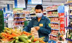 Đảm bảo nguồn cung lương thực, thực phẩm cho TP Hồ Chí Minh, Bình Dương