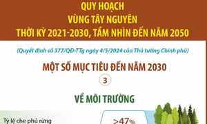 Quy hoạch vùng Tây Nguyên: Một số mục tiêu đến năm 2030 về môi trường
