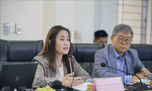 Ngôi nhà Ánh Dương cung cấp các dịch vụ hỗ trợ phụ nữ và trẻ em gái bị bạo lực giới