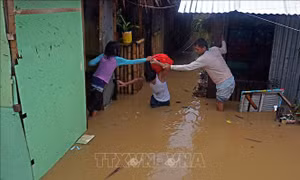 Trên 5.000 người Philippines phải sơ tán do bão Dujuan