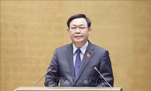 Hoàn thiện đồng bộ thể chế để phát triển bền vững - Bài cuối: Luật pháp phải phản ánh thực tế cuộc sống
