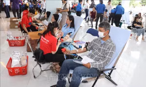 Tiền Giang: Xây dựng văn hóa, thói quen hiến máu nhắc lại của mỗi người dân
