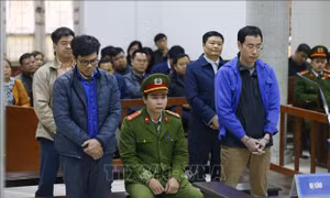 Xét xử vụ án tại Công ty Lọc hóa dầu Bình Sơn: Giảm số tiền cáo buộc chiếm đoạt cho bị cáo Đinh Văn Ngọc  