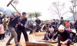 Lên vùng cao Yên Bái ăn Tết cùng đông bào Mông