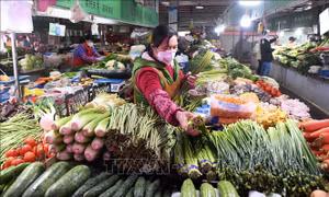 Trung Quốc kêu gọi nông dân tăng cường sản xuất lương thực