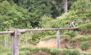 Người Xê Đăng ấm no nhờ biết làm thủy lợi