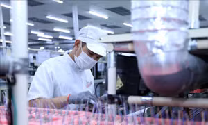 Truyền thông quốc tế nêu 4 lý do giúp Việt Nam trở thành điểm đến hấp dẫn về đầu tư sản xuất