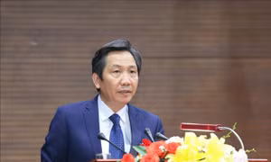 Triển khai đưa Luật Thanh niên vào cuộc sống