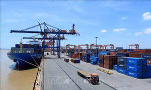 Doanh nghiệp logistics trước áp lực phải xanh