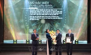 Lễ trao Giải thưởng toàn quốc về thông tin đối ngoại lần thứ VII