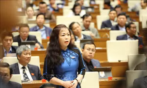 Đánh giá cao nỗ lực, trách nhiệm của Chủ tịch nước, Chính phủ trong nhiệm kỳ 2016-2021