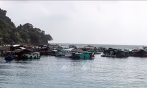 Phát triển bền vững nghề cá - Bài 2: Chuyển hướng sản xuất