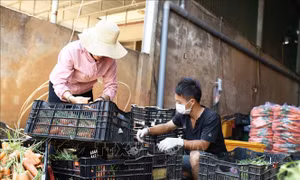 Dịch COVID-19: Tặng gần 5 tấn nông sản cho người dân đang cách ly ở Ninh Thuận