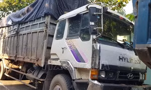 Bỏ trốn khi bị phát hiện đổ trộm rác, tài xế lại phải nhập viện vì rắn độc cắn